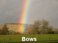 Bows