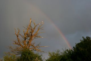 Low sun evening rainbow