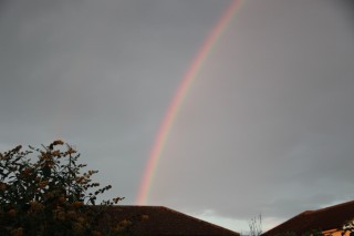 Low sun evening rainbow