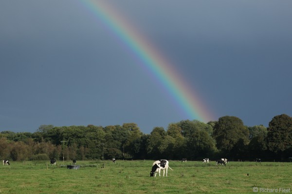 Example of rainbow polarisation