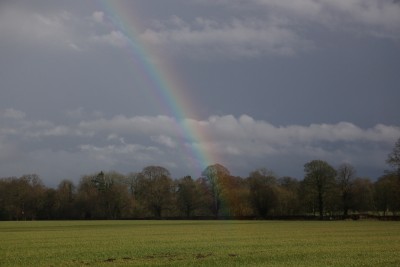 Reflected rainbow