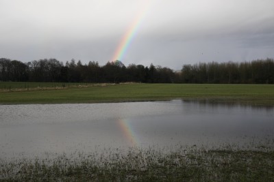 Reflected rainbow