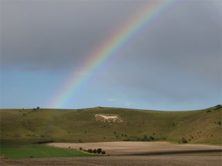 Rainbow over a white horse