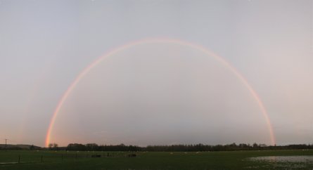 Reddened full rainbow at sunset