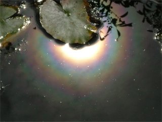 Bright reflected corona