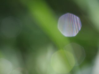 Inteference fringes from a water drop