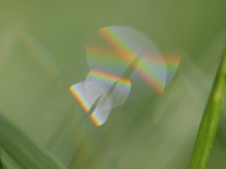 Crossed rainbow arcs