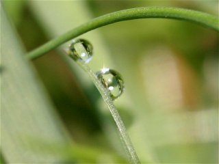 Light refracted through a drop