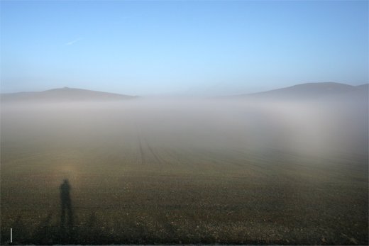 Fogbow and polarisation