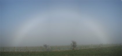 Fogbow with bushes for scale