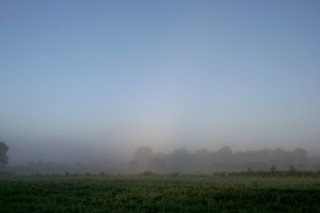 Weak fogbow in shallow fog