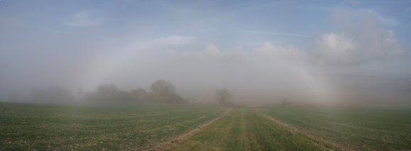 Both ends of fogbow in shallow mist