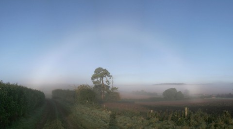 Full autumn fogbow