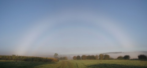 Full autumn fogbow