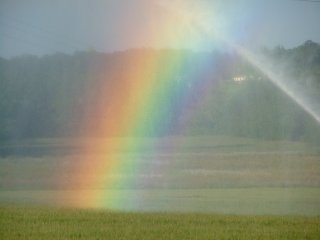 Bright spraybow from a water cannon