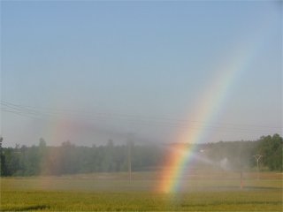 Primary and secondary spraybow