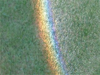 Garden spray drops in a rainbow