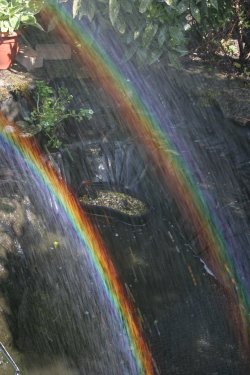 Strongly coloured double spraybow