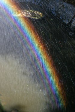Multiple supernumeraries in a spraybow