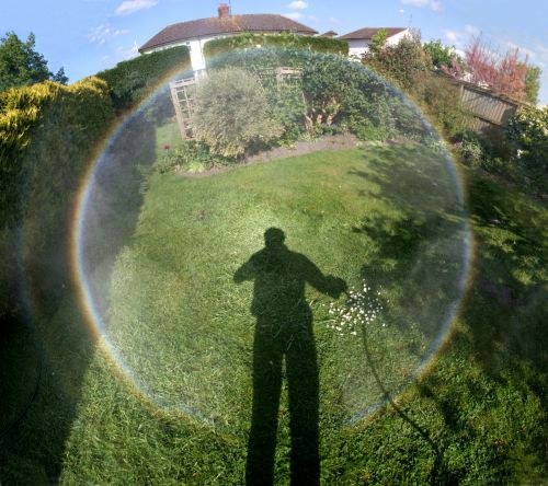 Full garden spraybow