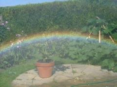 Garden spraybows