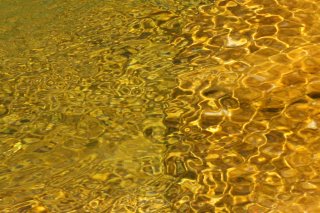 Caustic networks on bacterial mats