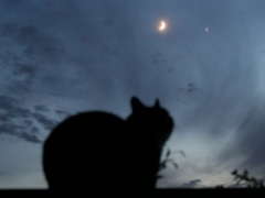 Conjunctions with the moon