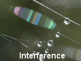Interference