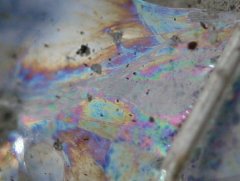 Interference in a slime trail