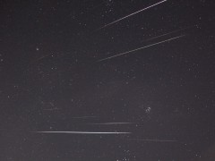 Geminid meteors December 2011