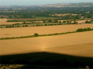 Opposition effect from a hill
