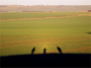 Opposition effect and individual shadows