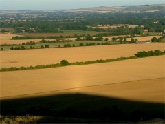 Opposition effect from different viewpoints