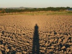 Opposition effect on dry surfaces