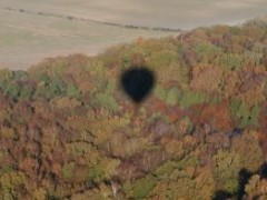 Opposition effect on vegetation