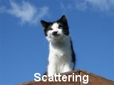Scattering