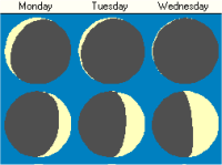 Week View