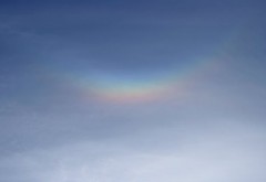 Circumzenithal arc and halo display
