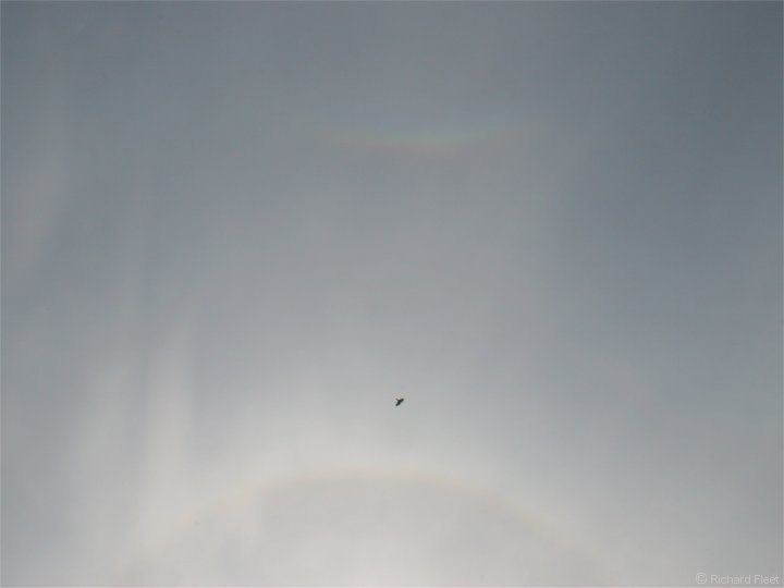 Circumzenithal Halo