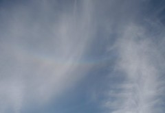 Miscellaneous circumzenithal arcs