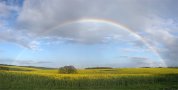 Spring Shower Rainbows