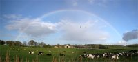 Spring Shower Rainbows