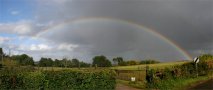 Autumn Shower