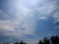 Circumhorizontal Arc