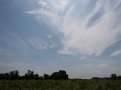 Circumhorizontal Arc