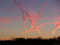 Contrails - Sunrise