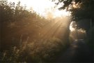 Crepuscular Rays