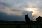 Shower Cloud Shadows