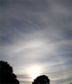 Circumzenithal Arc and 22 Degree Halo