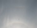 Circumzenithal Arc and 22 degree Halo